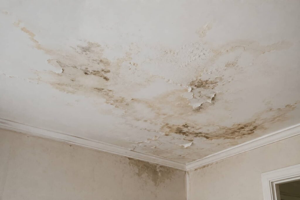 Water-damaged ceiling with peeling paint and mold stains.