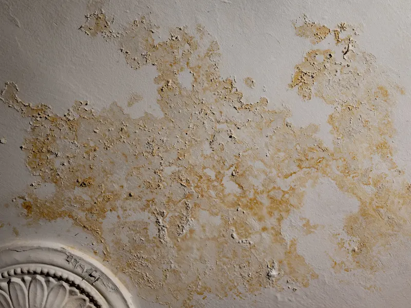 Peeling, water-damaged ceiling with stained plaster.