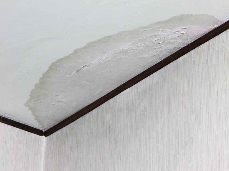 Water stain and peeling paint on a ceiling corner.