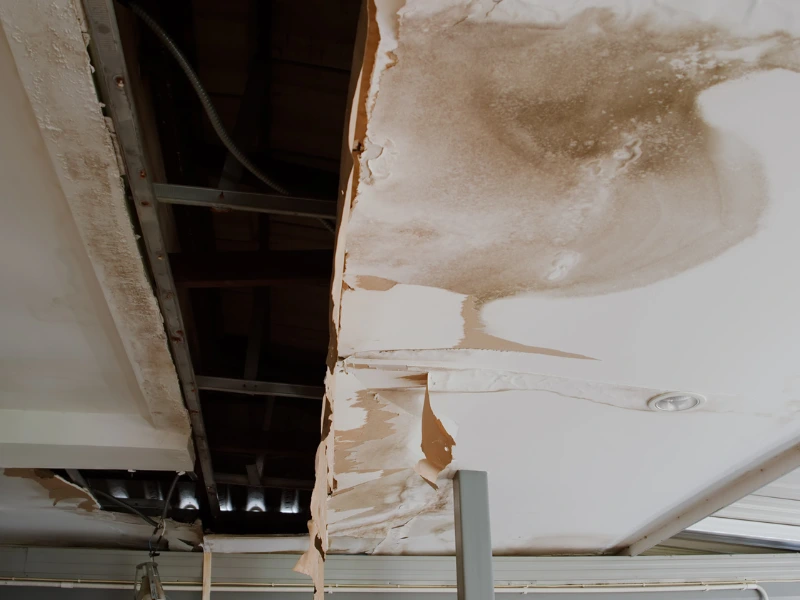 Water-damaged ceiling with peeling drywall and exposed beams.