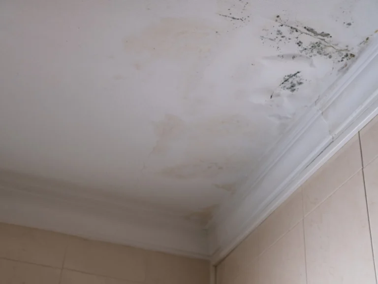 Water-damaged bathroom ceiling with mold stains.