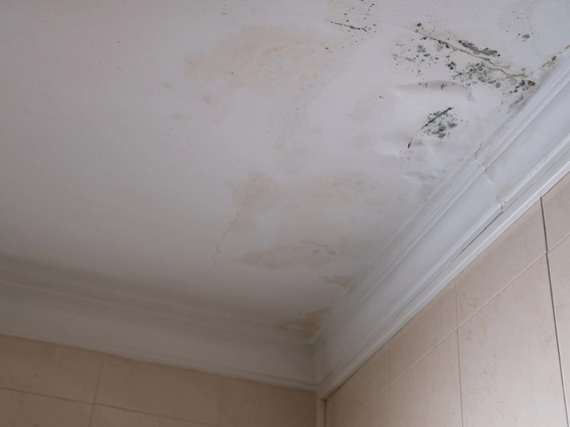 Water-damaged bathroom ceiling with mold stains.