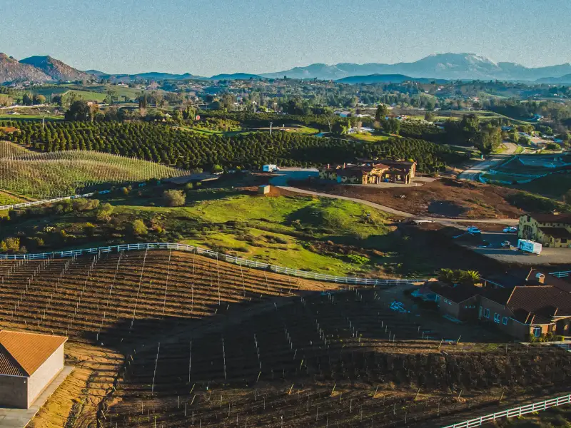 Rolling vineyard landscape with hills and mountains in the distance.